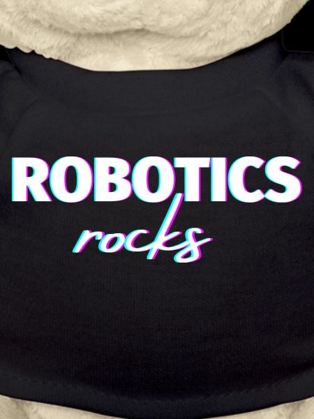 Robotics rocks