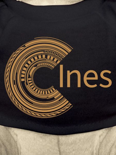 For Ines