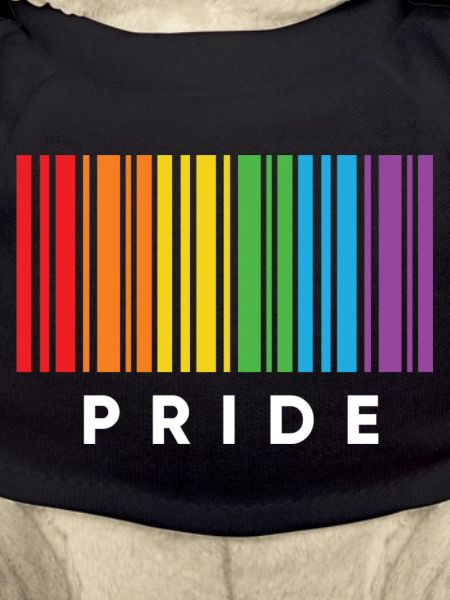 LGBT Design - Pride Design