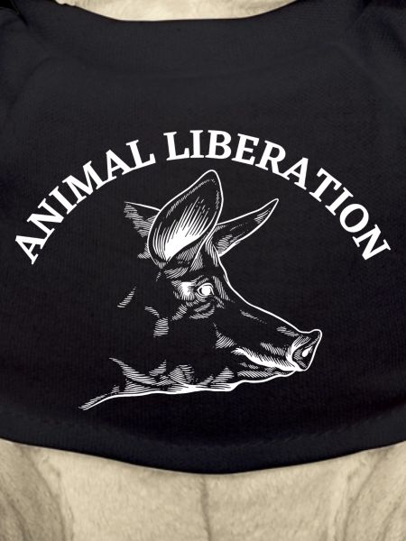 Animal Liberation Pig