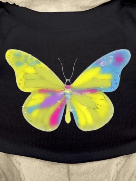 Bunte Schmetterling