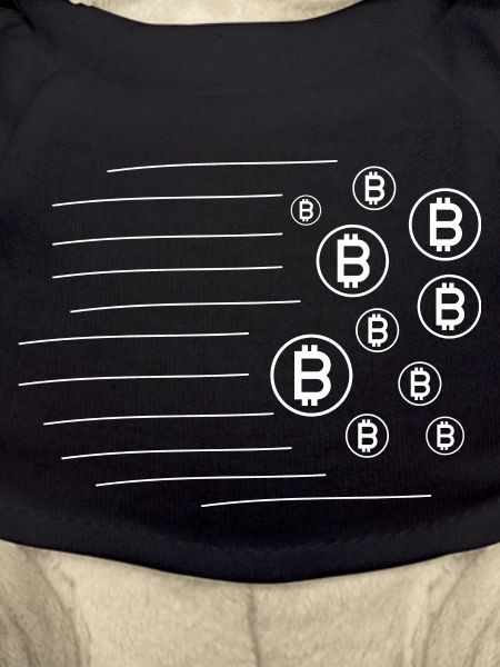 Crypto Bitcoin Trading