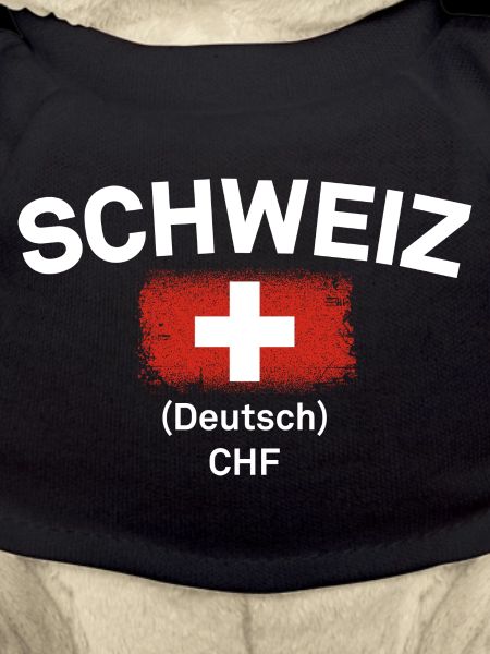 Schweizer Flagge CHF-Emblem