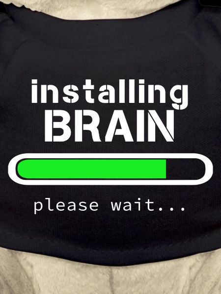 Installing Brain