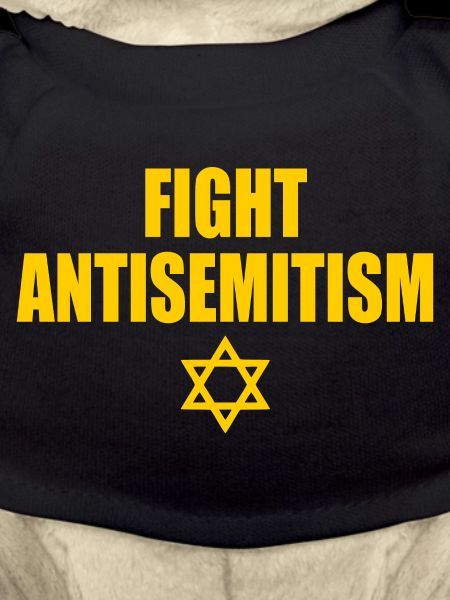 fight antisemitism