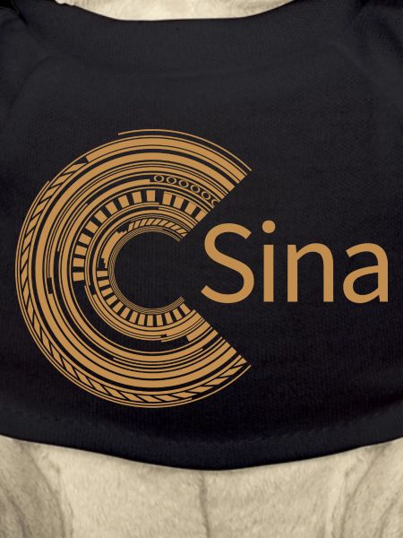 Für Sina