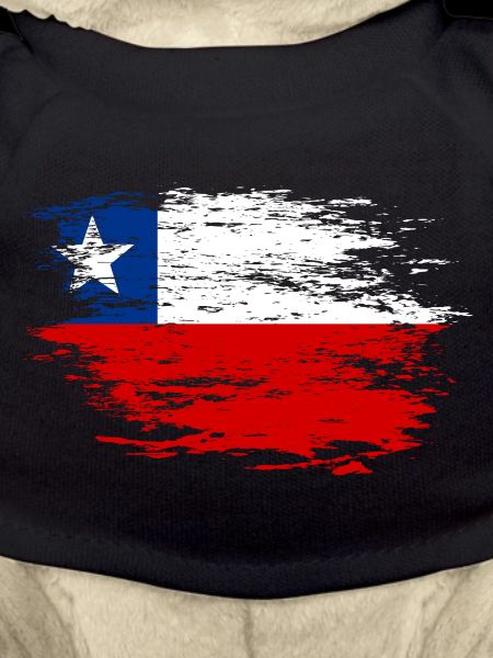 Chile flag used