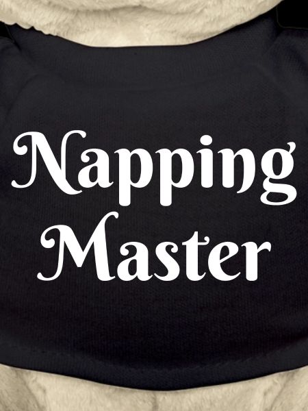 Napping Master