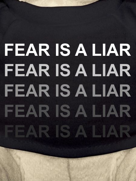 Fear is a liar
