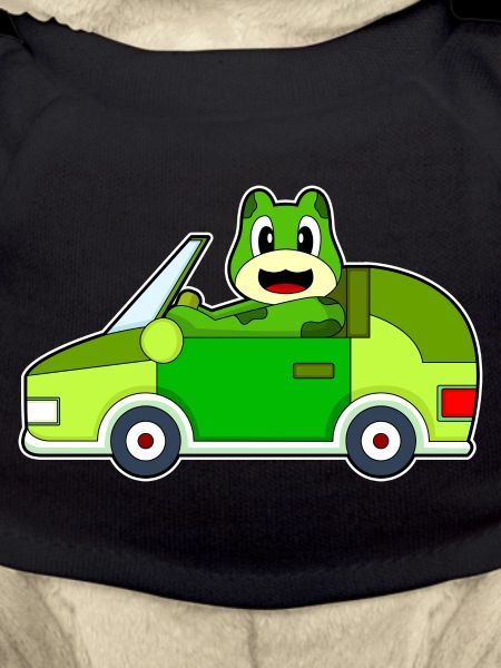 Frosch Auto