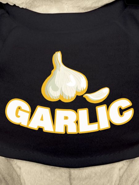 GARLIC