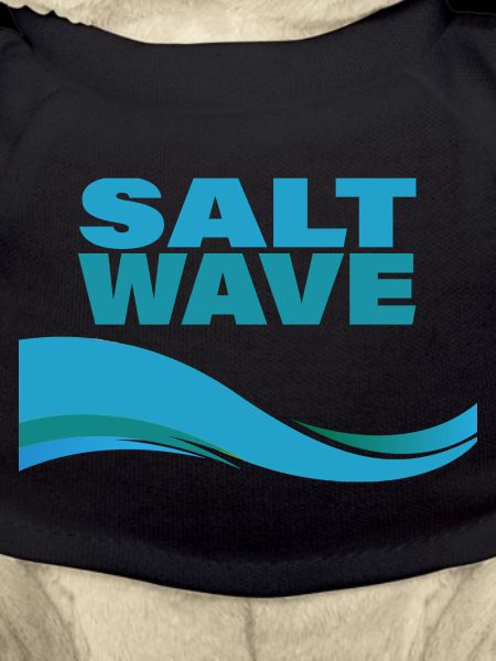 VAGUE DE SEL