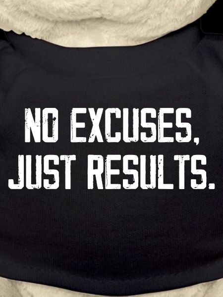 No Excuses Just Results