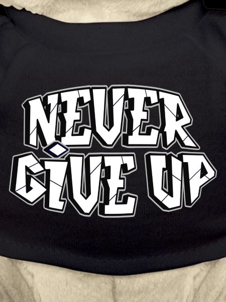 everything is possible, winner, fighter