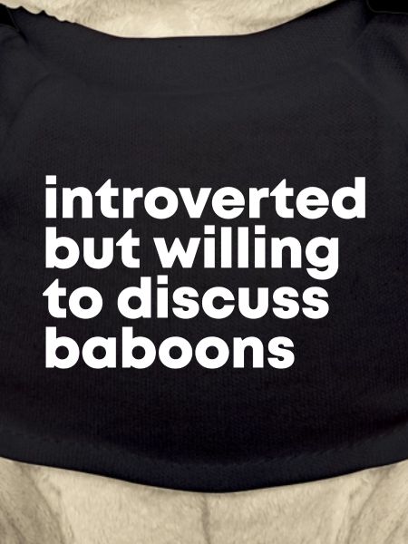 Baboon Baboon Baboon