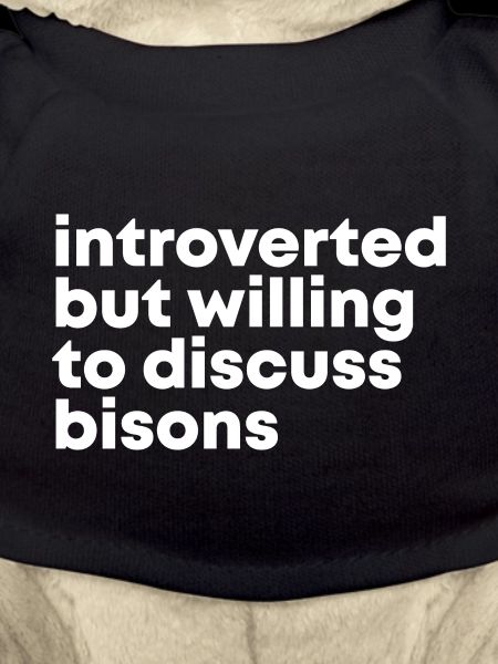 Bison Bison Bison