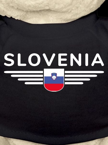 Stylish Slovenia design