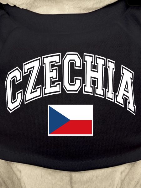Czech Republic Flag