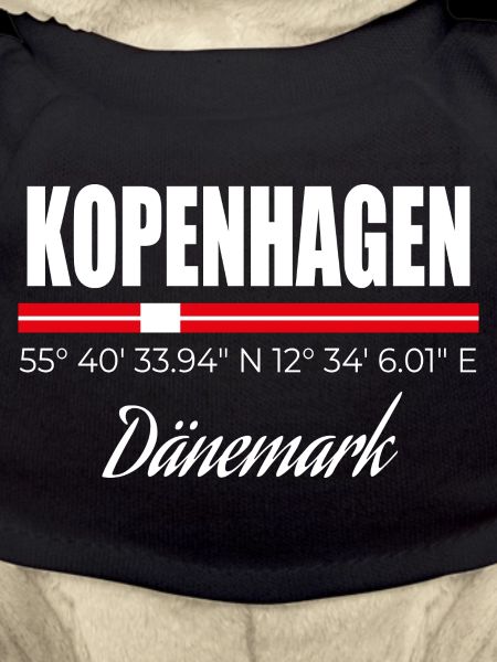 Copenhague