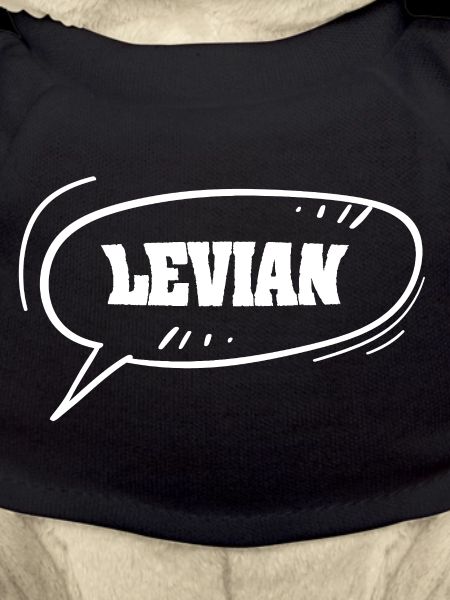 First name Levian