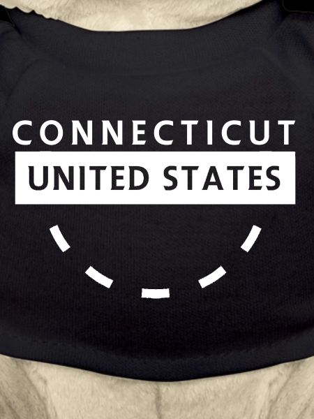 Connecticut States Emblem