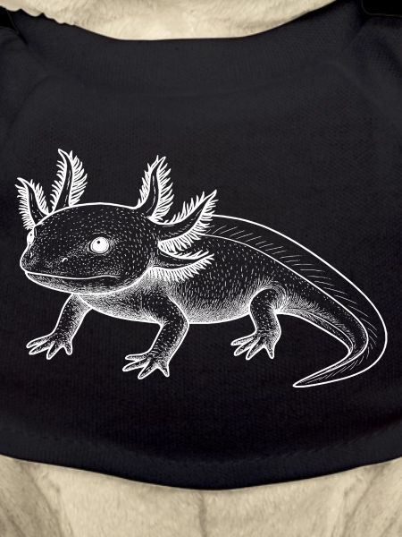 Axolotl Line Style – White