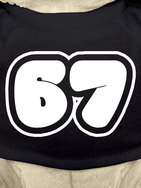 Numéro 67