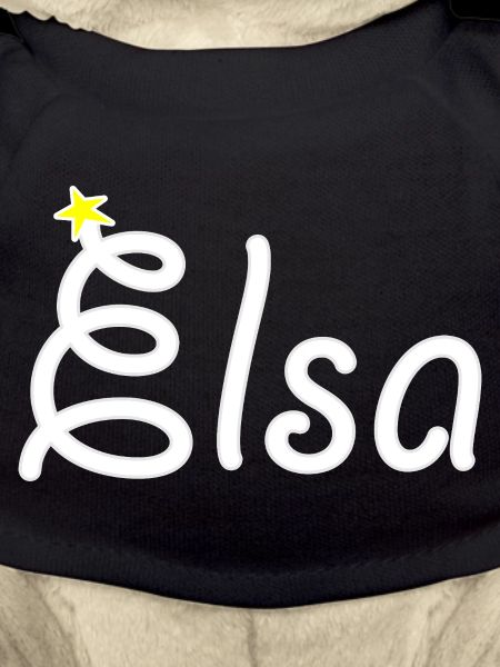 Elsa
