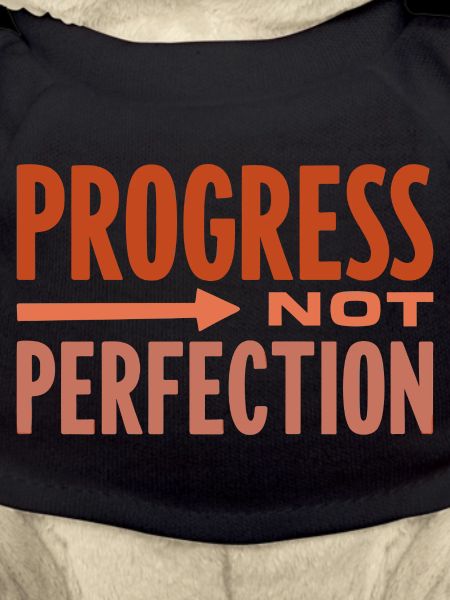 Progress Not Perfection Progress Counts