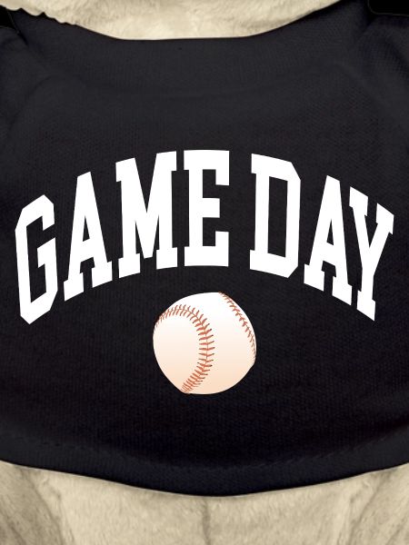 Game Day Baseball Fan