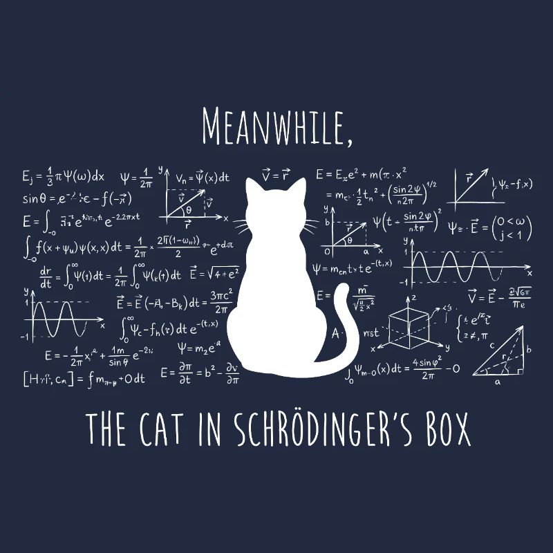 Le Chat de Schrödinger – Physique & Science Design