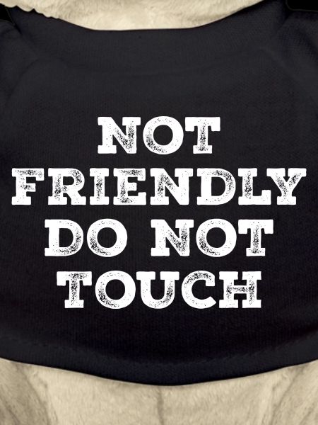 Not friendly do not touch