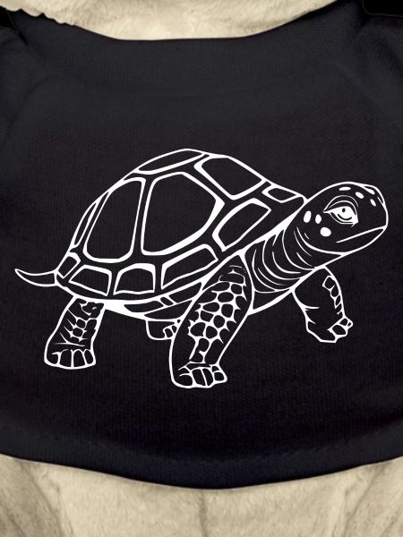 Schildkröten Schildkröten