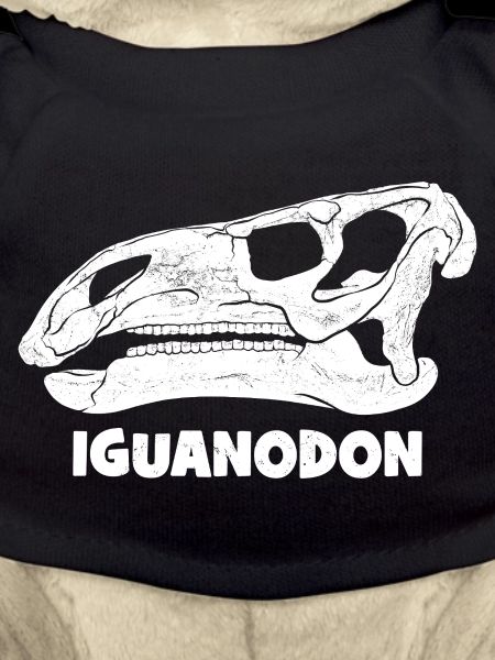 Fossile d’iguanodon