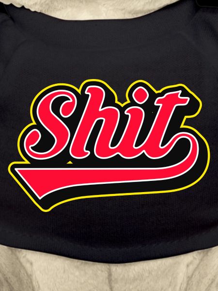 Shit Word Script Logo