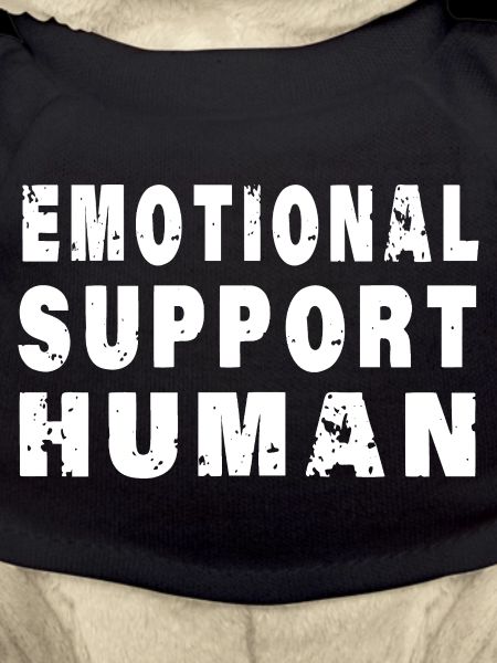 Emotional Support Human