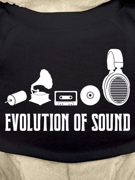 Evolution Of Sound Audiophile Music