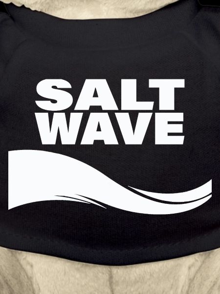 SALT WAVE