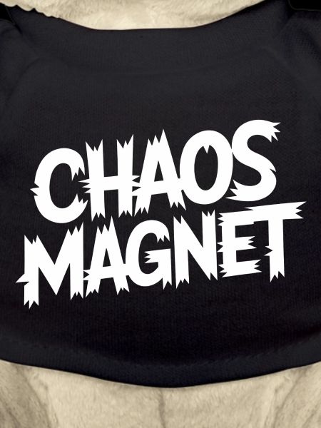 Chaos Magnet