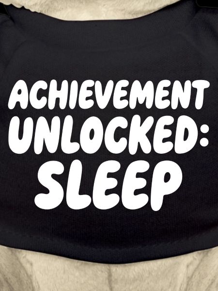 Sleep Unlocked Gaming Meme