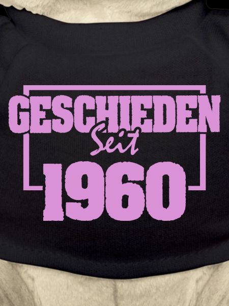 Scheidung 1960