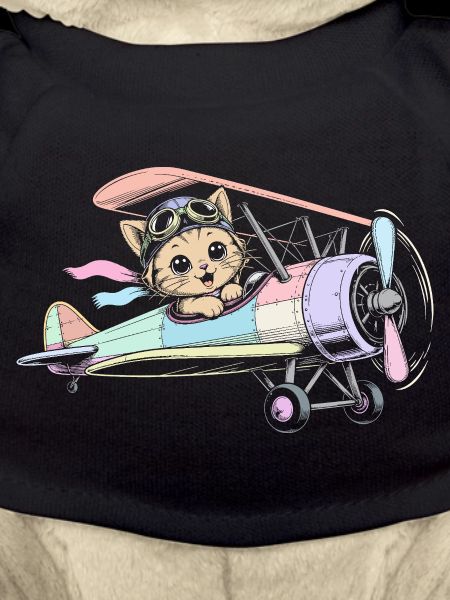 airplane