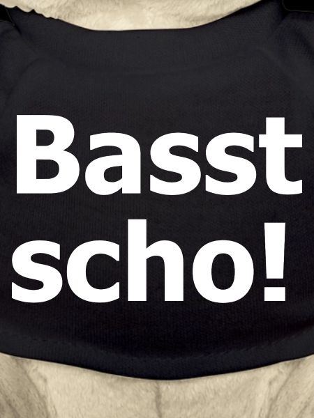 Basst Scho
