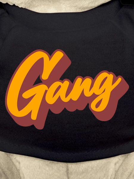 gear