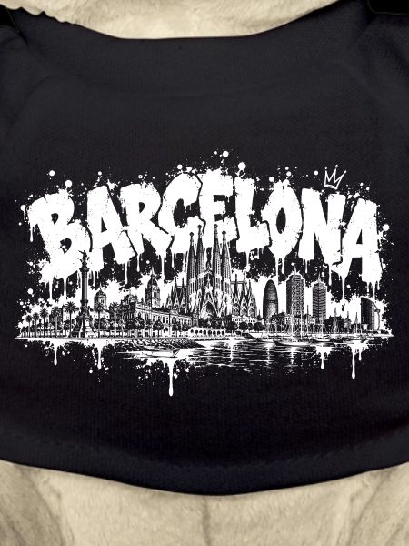 Barcelona Splash Graffiti