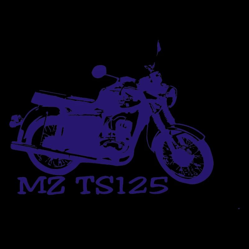 MZ TS125