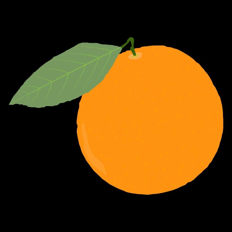 Orange Frucht Obst Geschenk Geschenkidee