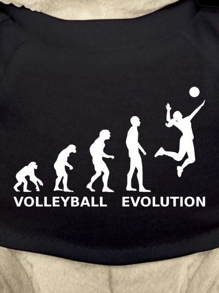 Volleyball Evolution