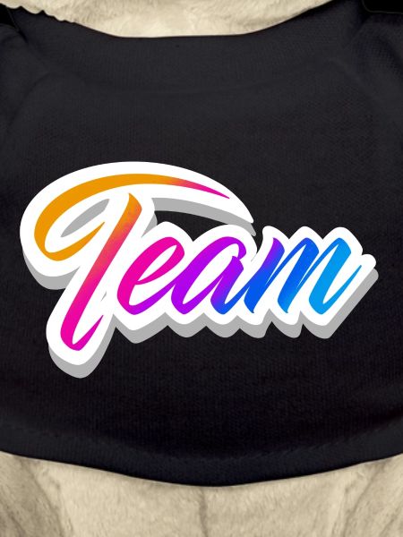 Team