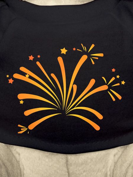 lively fireworks